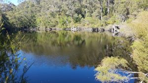 The Frankland River below Circular Pool.