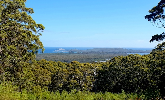 Hilltop Lookout, just out of Walpole.