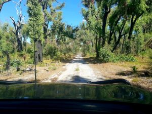 Near Wilga.