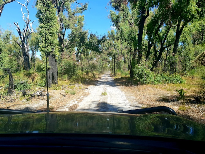 Near Wilga.