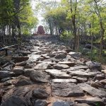 The pathway to the temple.
