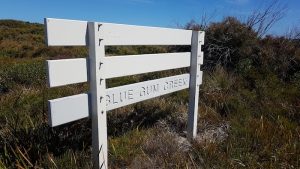 Re-using signage.
