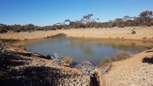 Main dam at Boorabbin.