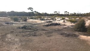 The former well is now just a depression.