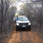 On the track to the hermit's hut.