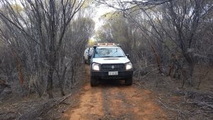 On the track to the hermit's hut.