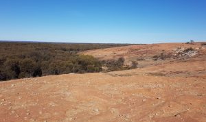 On top of the Boorabbin quarry.