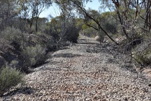Route of old railway near Boorabbin.