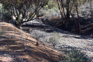 The route of the Southern Cross to Coolgardie railway near Boorabbin.