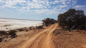 Track along the edge of Lake Campion.