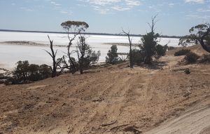 Lake Campion