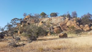 Mindebooka Hill