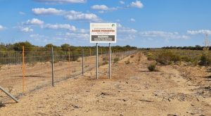 Yellowdine State Barrier Fence