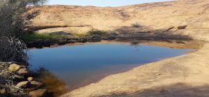 Hunt's Tank at Weowanie.