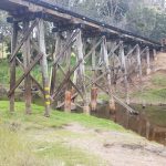 Disused railway bridge at Nannup.