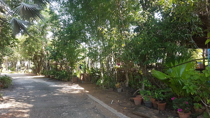 Entry to the Andaman Resort grounds.