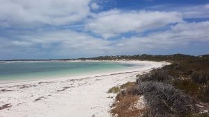 Hangover Bay