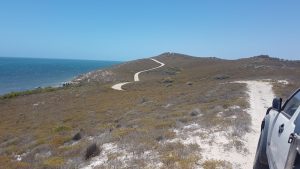 Illawong Cliffs