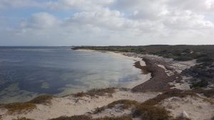 Bay three kilometres south of Leeman.