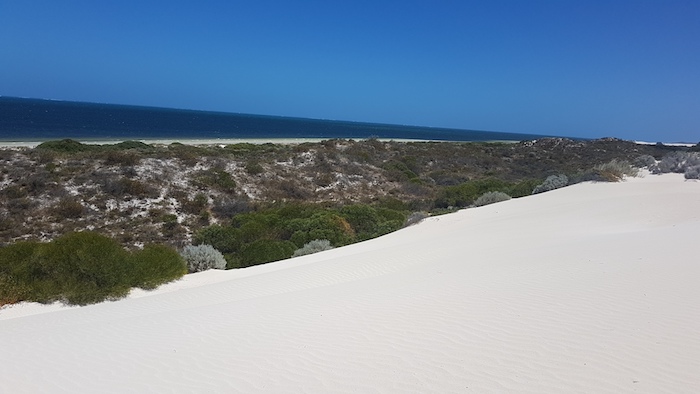The was no way through to the beach from these dunes north of Gum Tree Bay.