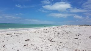 Thirsty Point Beach.
