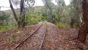 The railway is pretty much overgrown although the service track is accessible.