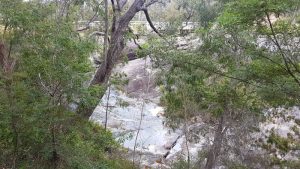 Fernhook Falls from the access walk way.