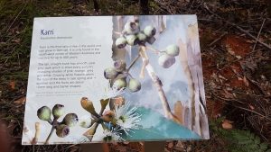 There are information boards at various points along the Drive.