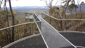 View of the Walpole Wilderness from the Lookout.