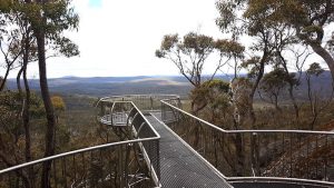 Wilderness Lookout
