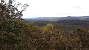 View of the Walpole Wilderness from the Lookout.