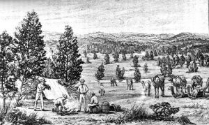 Queen Victoria Springs