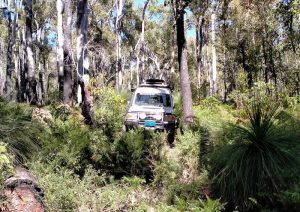 Mushy found a way through the side track.