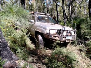 Aaron edges his way around a grasstree.