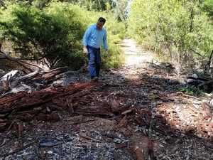 Aaron clears debris.