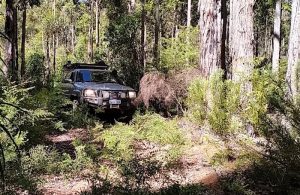 Aaron hit a cleared section of track.