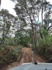 Near Lake Yeagarup.