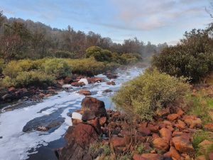 The Blackwood River.