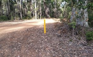 These markers are seen throughout the forest and are used to indicate where hand distribution of 1080 baits (as opposed to aerial baiting) starts and stops.