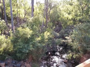 Brunswick River