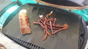Matt saw plenty of crayfish while diving but only one was enticed into the craypot.