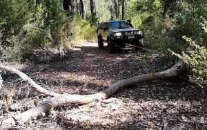 Log removed at first blockage.