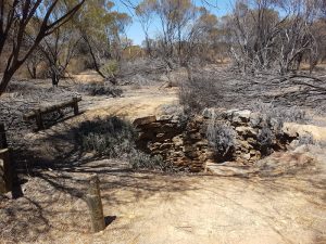 Hunt’s Well at Gnarlbine