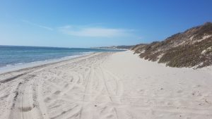 Horrocks Beach