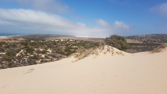 Part of the Horrocks dune system.