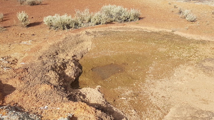 Jimbine Rockhole