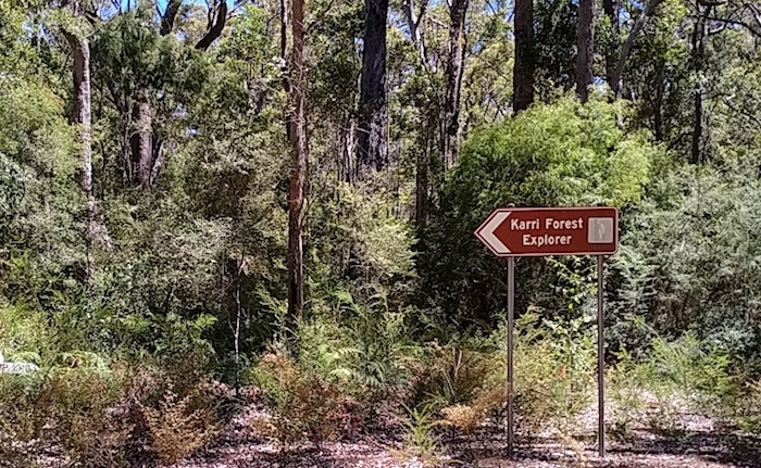 We followed the Karri Forest Explorer but in reverse.