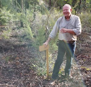 Kim explains the purpose of the ‘hockey stick’ markers often seen on bush roads and tracks.