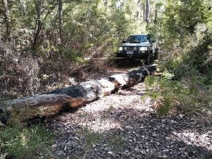 Scott leveraged the log right off the track.