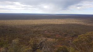 Looking east.